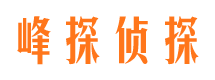 鹤壁市私人侦探